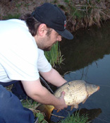 Balaton Tourism for fishing holidays.