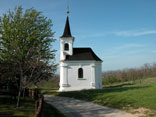 Balaton Tourism for lakeside holidays.