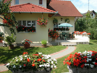 Alkotmany utca 9 apartments