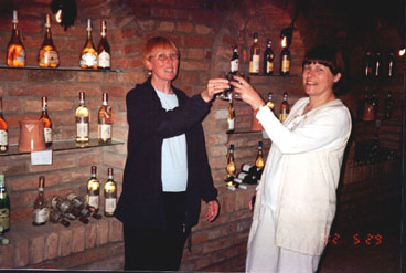Sheelagh and Shelagh sampling wine