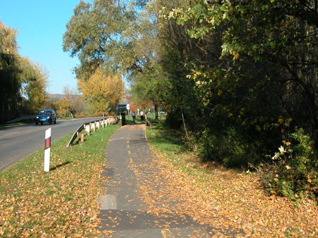 Typical Balaton cycle path