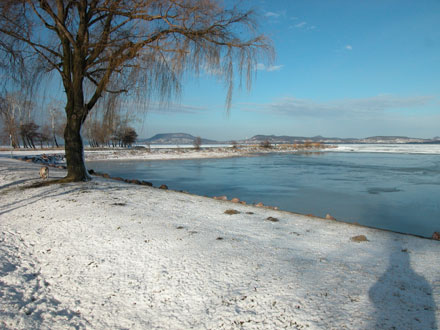 Walking in Winter