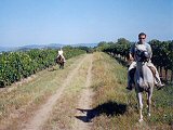 Balaton Tourism for riding holidays.