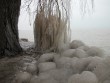 Ice storm March 2006, Balatonboglar