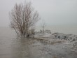 Ice storm March 2006, Balatonboglar