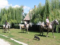 Balaton Tourism for lakeside holiday apartments.